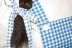Dorothy Teen Child Costume Front