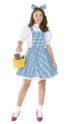 Teen Dorothy Costume