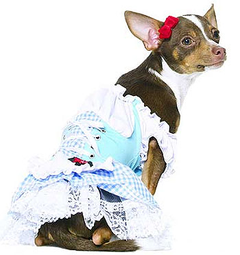 Dorothy Dog Costume
