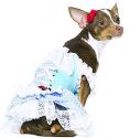 Dorothy Dog Costume