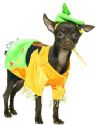 Scarecrow Dog Costume