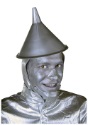 Tin Man Chin