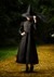 Kids Deluxe Witch Costume Alt 2