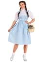 Dorothy Costume (Long Dress)