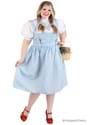 Plus Size Adult Dorothy Costume
