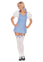 Sexy Dorothy Costume