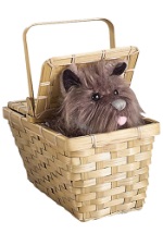 Deluxe Toto in a Basket