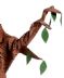 Branch