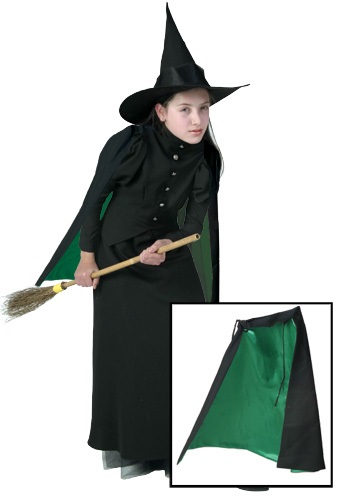 Witch Costume and Cape 2T / Costume and Cape