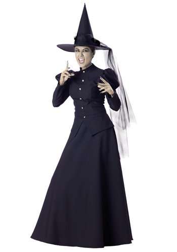 Womens Classic Witch Costume