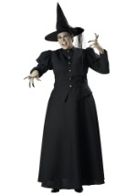 Womens Plus Size Wicked Witch