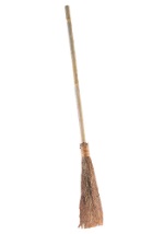 Witch Broom